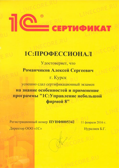 1С:Профессионал. Управление небольшой фирмой 8