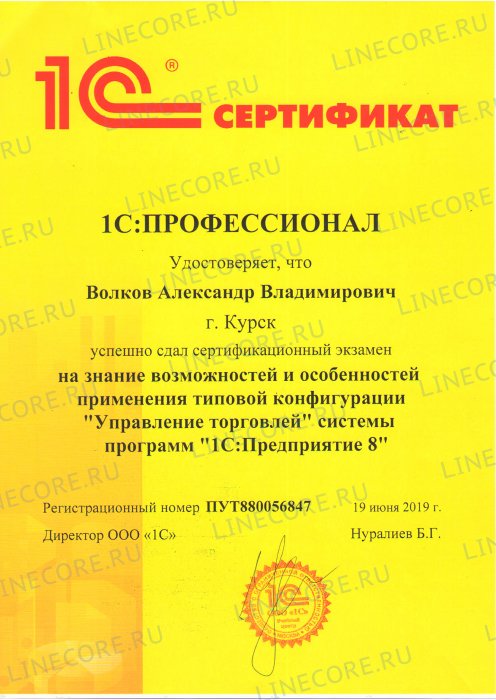 1С:Профессионал. Управление торговлей 8