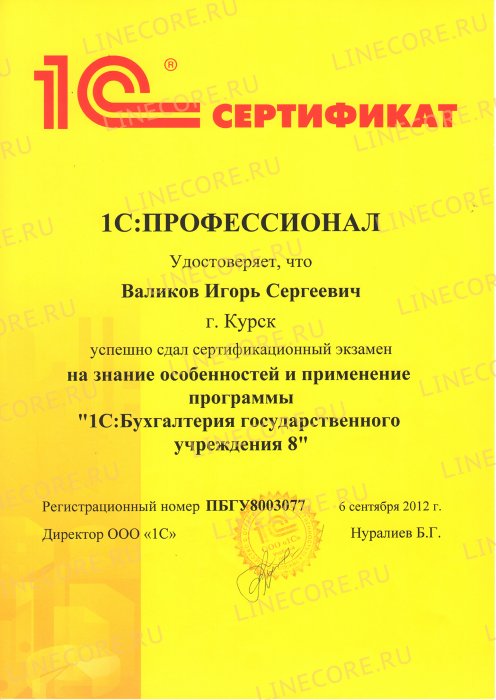 1С:Профессионал. Бухгалтерия государственного учреждения 8