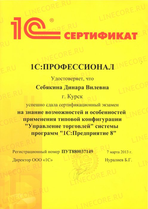 1С:Профессионал. Управление торговлей 8