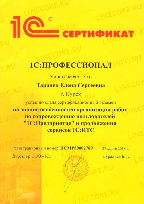 1С:Специалист по сопровождению
