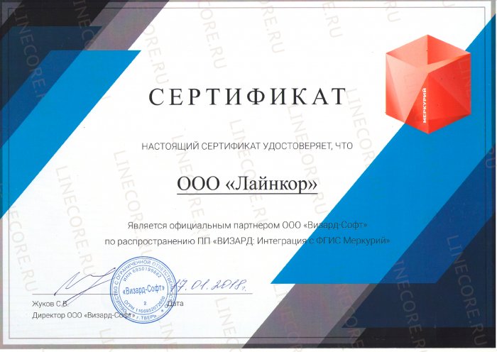 Официальный партнер «Визард-Софт»