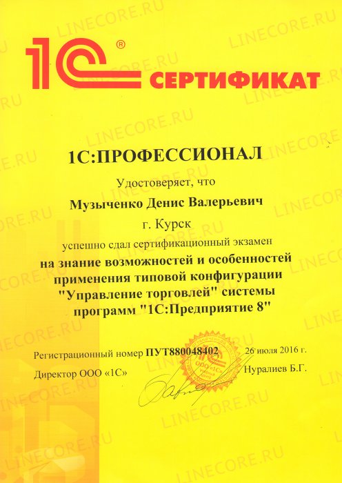 1С:Профессионал. Управление торговлей 8