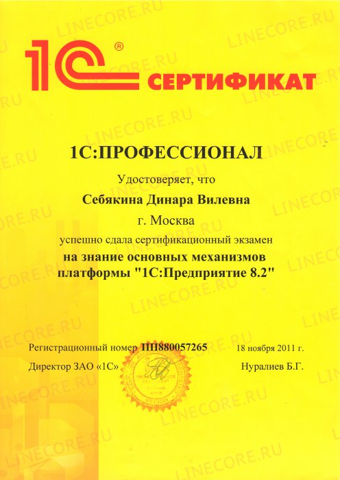 1С:Профессионал. Платформа 1С:Предприятие 8.2