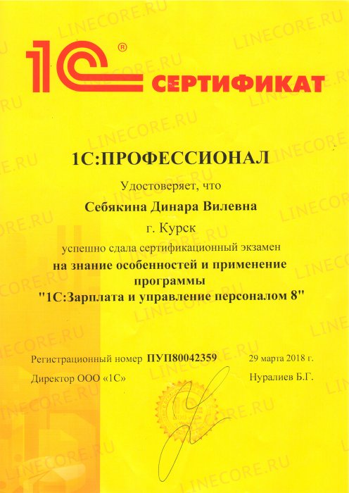 1С:Профессионал. Зарплата и управление персоналом 8