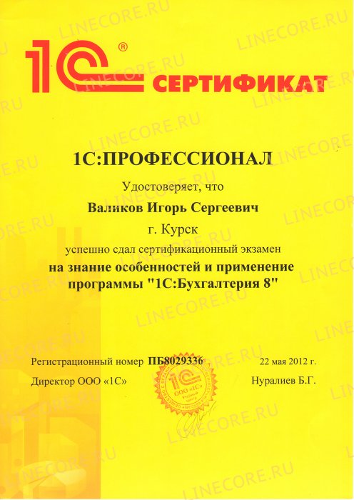 1С:Профессионал. Бухгалтерия 8