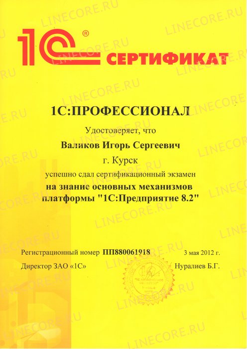 1С:Профессионал. Платформа 1С:Предприятие 8.2