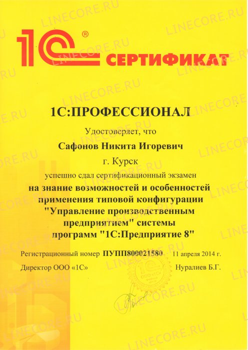 1С:Профессионал. Управление производственным предприятием 8