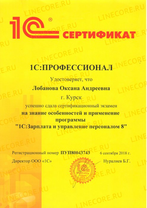 1С:Профессионал. Зарплата и управление персоналом 8