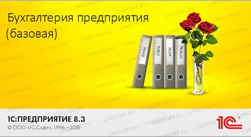 1С:Упрощенка 8