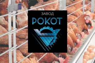 Завод ООО «Рокот»