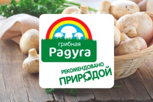 Компания ООО «Грибная радуга»